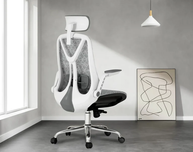 Ergonomic Chair Basic
