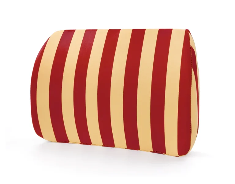 Logicfox Lumbar Support Pillow