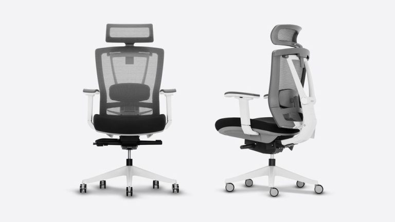 Branch Ergonomic Chair vs Autonomous