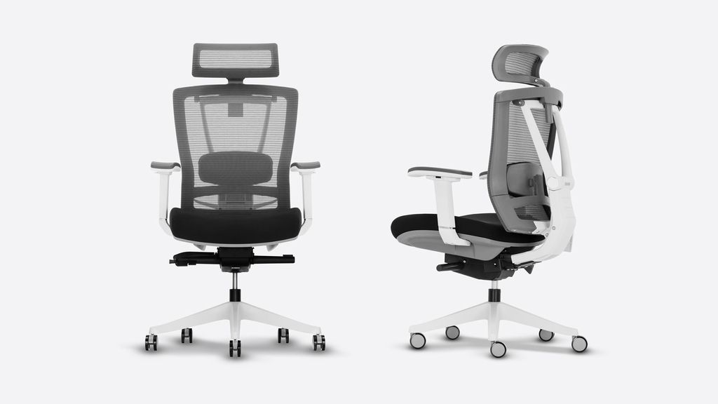Branch Ergonomischer Stuhl vs. autonomer Stuhl