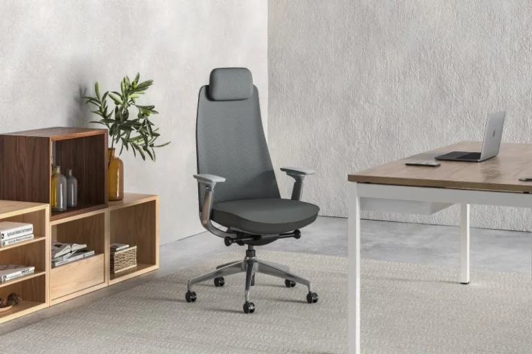 Goodtone Yucan Ergonomic Chair